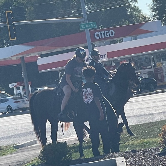 Live show listing - Picture 14 of 15